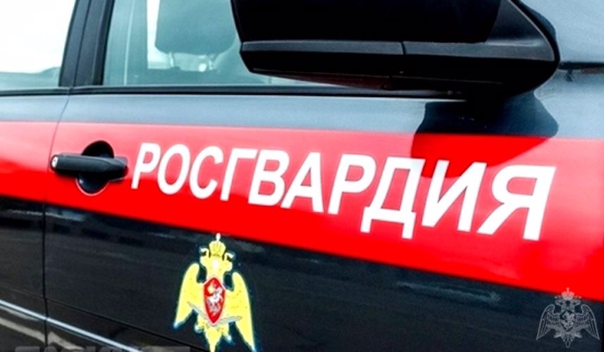 В Челябинске сотрудники вневедомственной охраны Росгвардии задержали подозреваемых в краже  