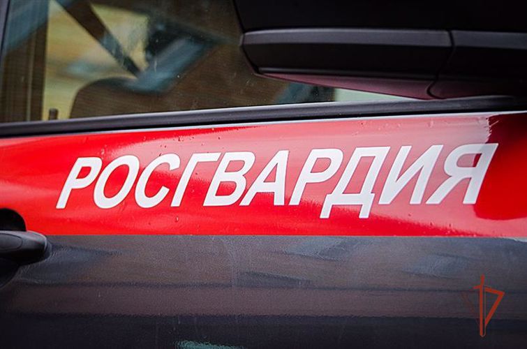 В Долгодеревенском сотрудники Росгвардии по «горячим следам» задержали подозреваемого в грабеже