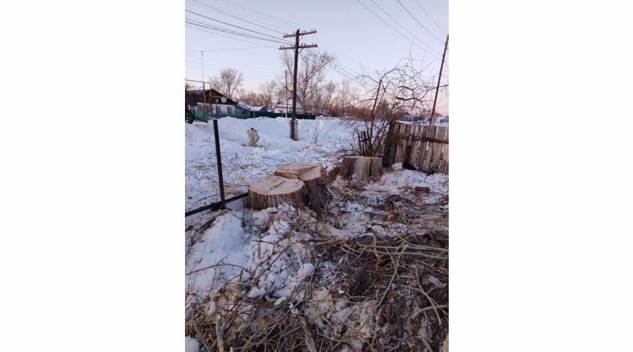 На Южном Урале росгвардейцы оказали помощь родителям военнослужащего