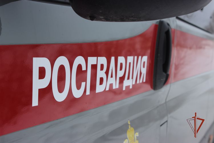 В Магнитогорске росгвардейцы задержали 71-летнюю женщину, которая нанесла ножевое ранение сыну