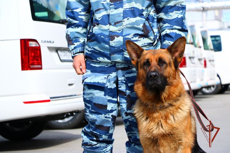 Сотрудники Росгвардии обеспечили безопасность различных массовых мероприятий в Челябинской области