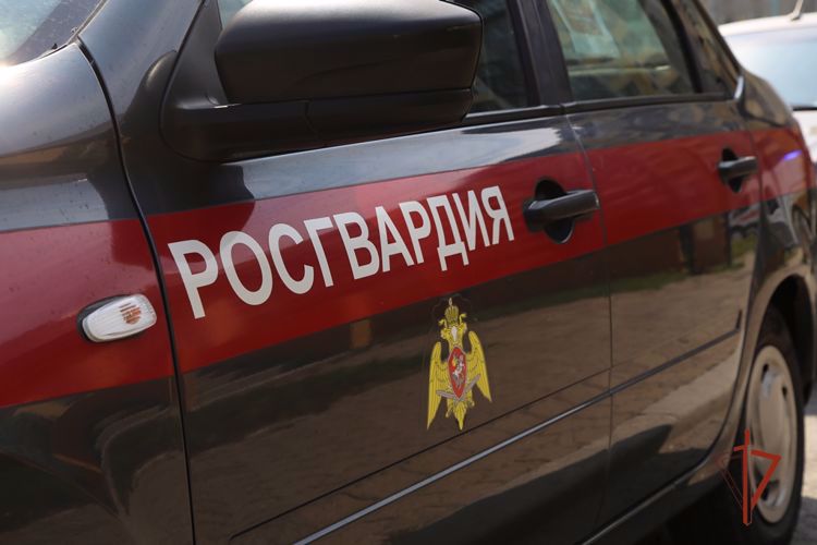 В Коркино сотрудники Росгвардии задержали мужчину, находившегося в федеральном розыске