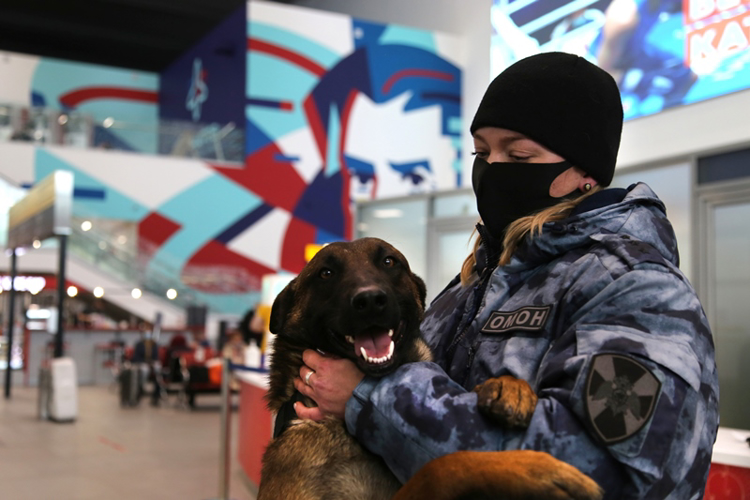 Южноуральские росгвардейцы познакомили журналистов двух телевизионных каналов с работой кинологов ОМОН