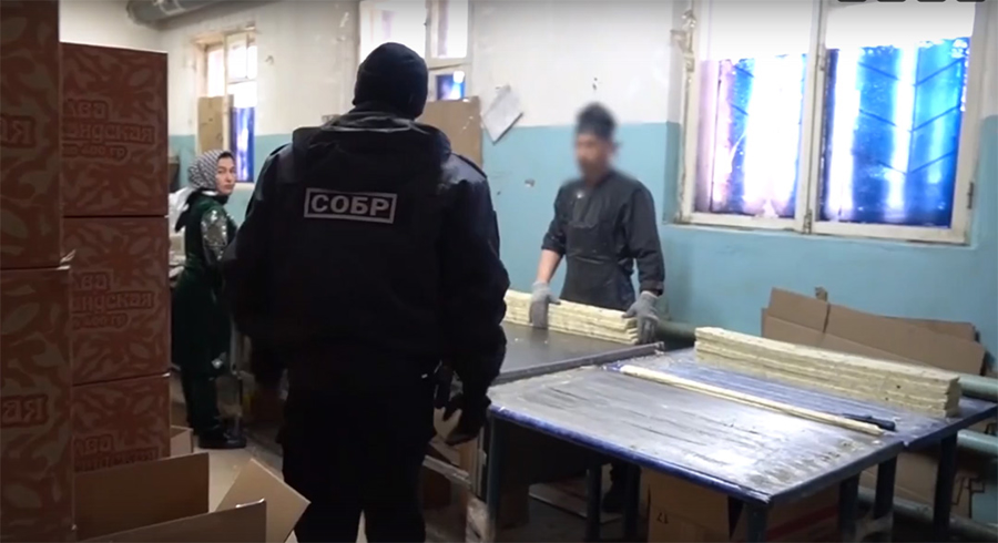 При содействии Росгвардии проведен рейд в рамках ОПМ «Нелегальный мигрант»