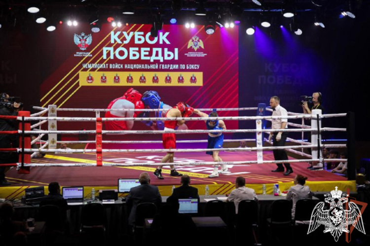 Сотрудник челябинского СОБР «Гром» принимает участие в чемпионате Росгвардии по боксу «Кубок Победы»