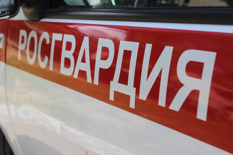 В Челябинске росгвардейцы задержали двух подозреваемых в различных кражах
