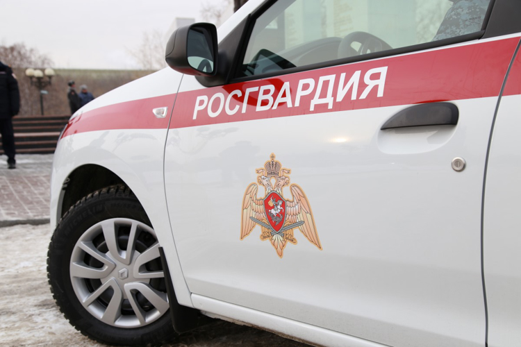 Росгвардейцы задержали двоих подозреваемых в различных кражах из челябинских магазинов