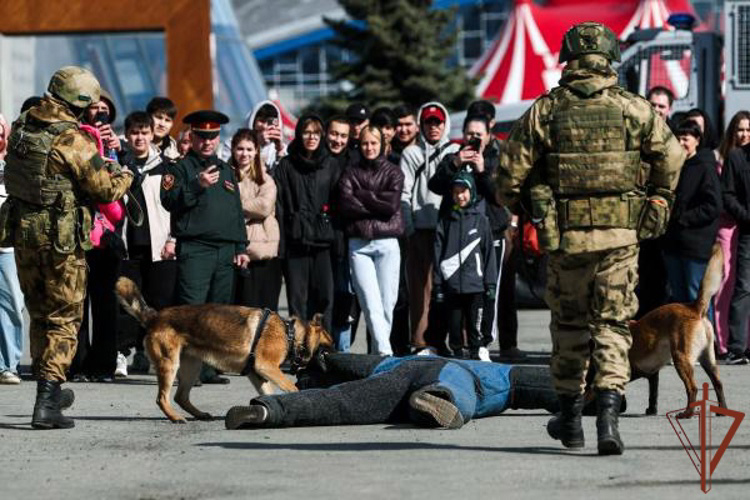 Чемпионат войск национальной гвардии по дзюдо завершился в Челябинске