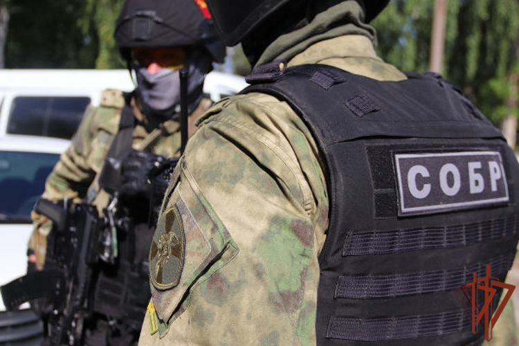 В Челябинске при содействии СОБР Росгвардии задержан подозреваемый в попытке дачи взятки должностному лицу в особо крупном размере