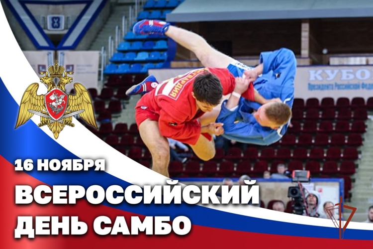 16 ноября -  Всероссийский день самбо
