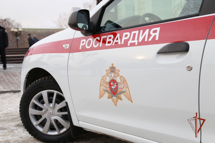 В Челябинской области росгвардейцы  задержали двух подозреваемых в имущественных преступлениях
