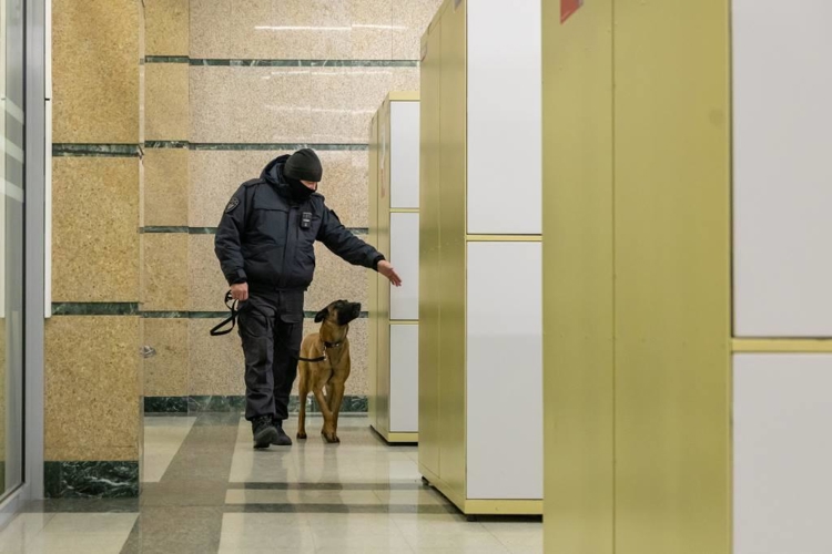 В Челябинской области росгвардейцы обеспечили безопасность хоккейных матчей 