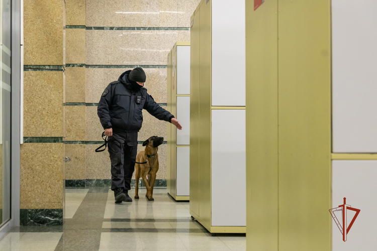 На Южном Урале сотрудники Росгвардии обеспечили безопасность матча Континентальной хоккейной лиги 