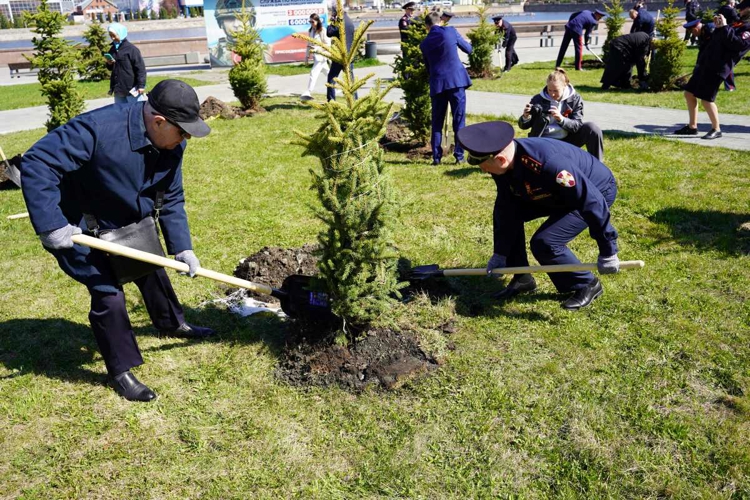 В Челябинске росгвардейцы приняли участие в высадке елей в память о героях Великой Отечественной войны
