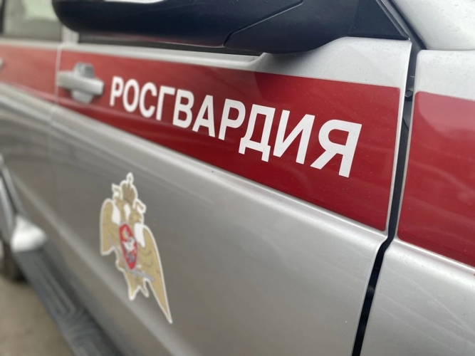 В Челябинской области росгвардейцы помогли найти пропавшего ребенка