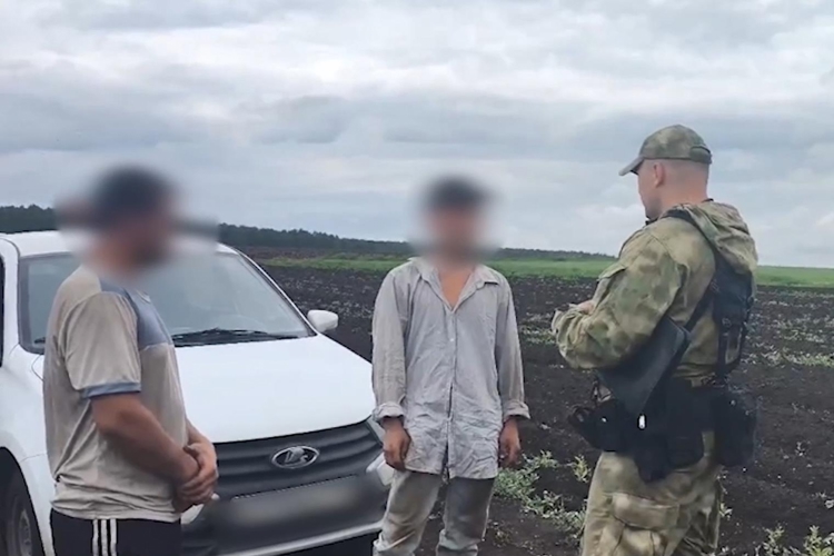На Южном Урале при содействии ОМОН Росгвардии проведены рейды в тепличных хозяйствах