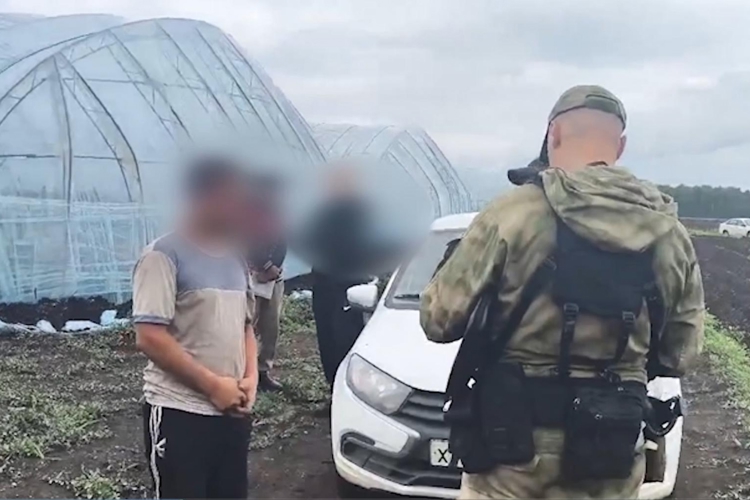 На Южном Урале при содействии ОМОН Росгвардии проведены рейды в тепличных хозяйствах