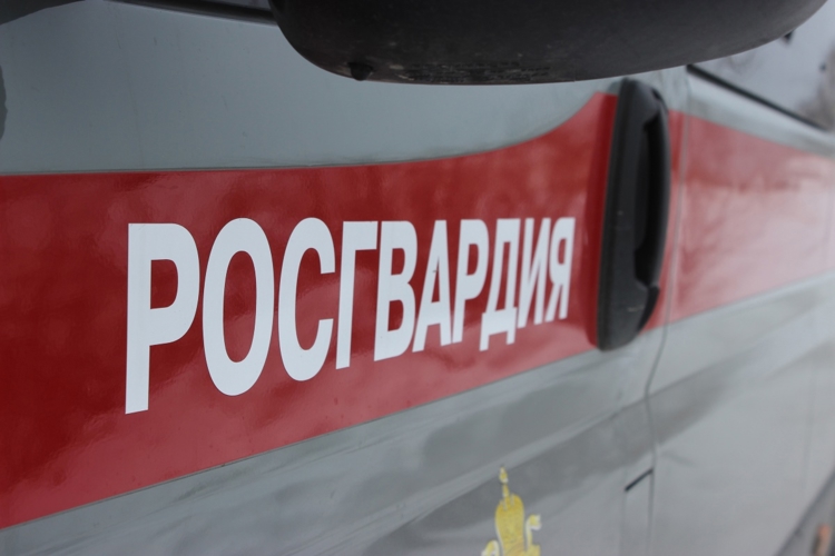В Челябинской области росгвардейцами по горячим следам задержан подозреваемый в грабеже