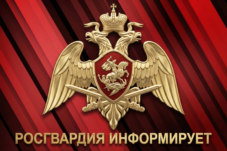 Справка об оружии не выходя из дома: Росгвардия запустила новый онлайн-сервис для граждан